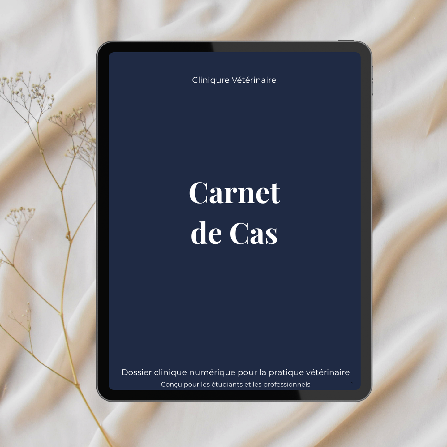 Veterinary Case Logbook – Clinical Practice Edition
